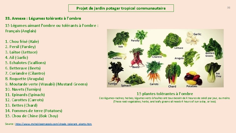 Projet de jardin potager tropical communautaire 98 33. Annexe : Légumes tolérants à l’ombre