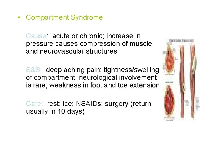  • Compartment Syndrome Cause: acute or chronic; increase in pressure causes compression of