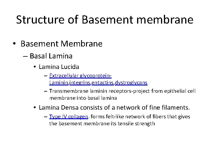 Structure of Basement membrane • Basement Membrane – Basal Lamina • Lamina Lucida –