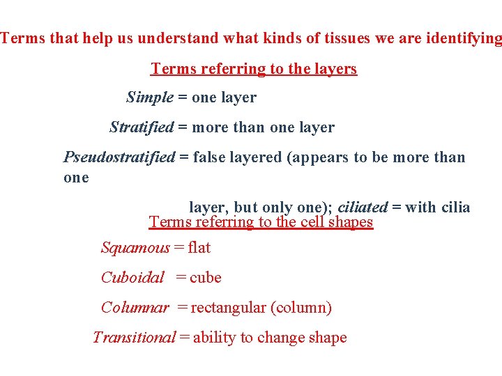 Terms that help us understand what kinds of tissues we are identifying Terms referring