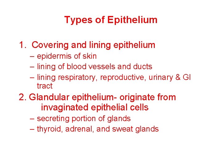 Types of Epithelium 1. Covering and lining epithelium – epidermis of skin – lining