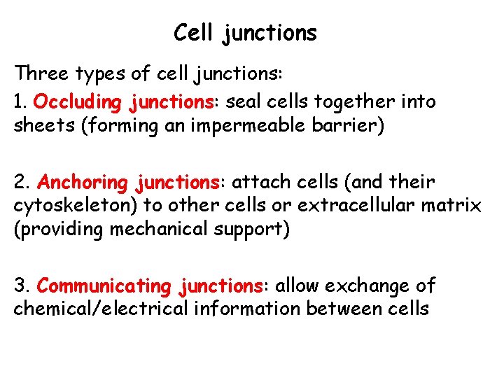 Cell junctions Three types of cell junctions: 1. Occluding junctions: seal cells together into