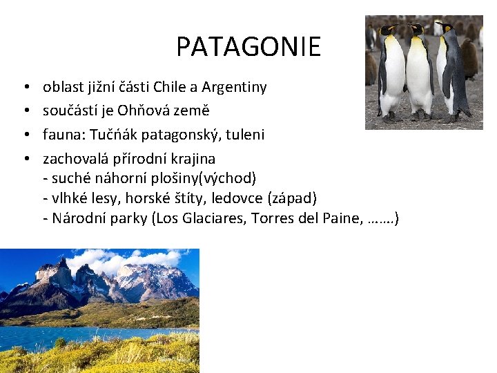 PATAGONIE • • oblast jižní části Chile a Argentiny součástí je Ohňová země fauna:
