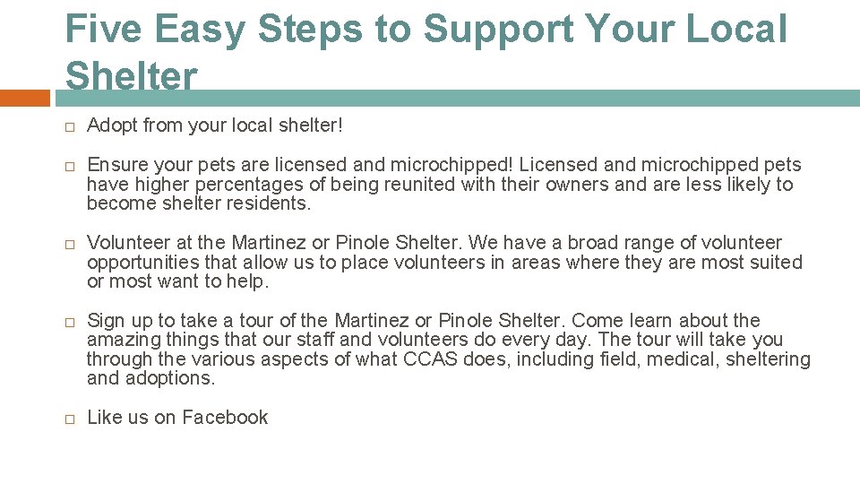 Five Easy Steps to Support Your Local Shelter Adopt from your local shelter! Ensure