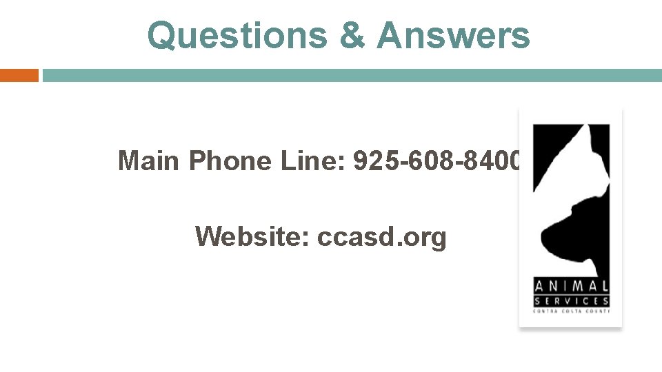 Questions & Answers Main Phone Line: 925 -608 -8400 Website: ccasd. org 