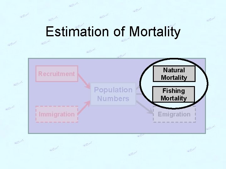 Estimation of Mortality Natural Mortality Recruitment Population Numbers Immigration Fishing Mortality Emigration 