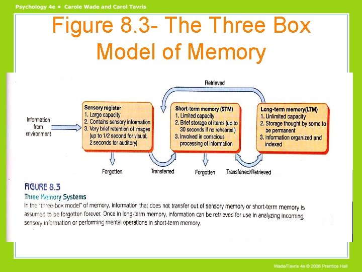 Figure 8. 3 - The Three Box Model of Memory 