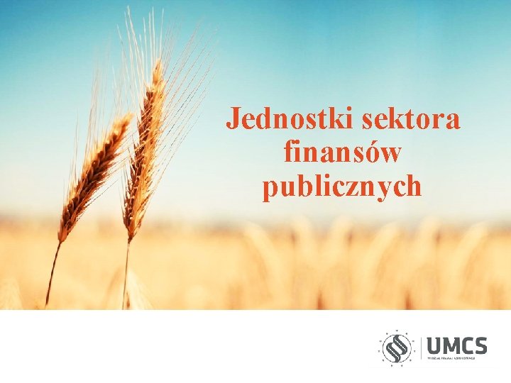 Jednostki sektora finansów publicznych 