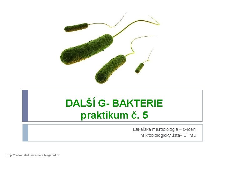 DALŠÍ G- BAKTERIE praktikum č. 5 Lékařská mikrobiologie – cvičení Mikrobiologický ústav LF MU