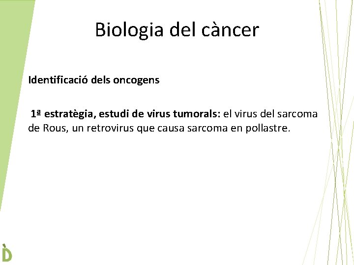 Biologia del càncer Identificació dels oncogens 1ª estratègia, estudi de virus tumorals: el virus