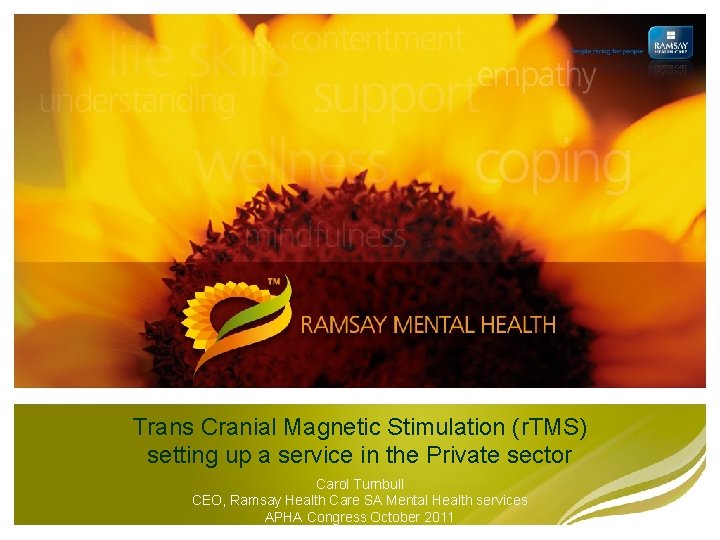 Trans Cranial Magnetic Stimulation (r. TMS) setting up a service in the Private sector