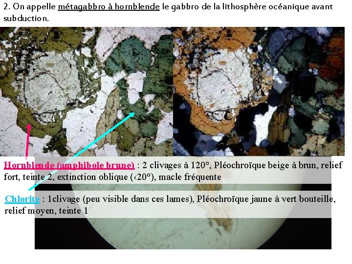 2. On appelle métagabbro à hornblende le gabbro de la lithosphère océanique avant subduction.