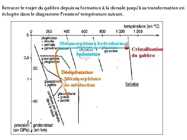 Retracer le trajet du gabbro depuis sa formation à la dorsale jusqu’à sa transformation