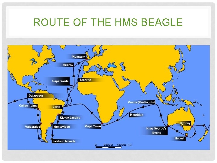 ROUTE OF THE HMS BEAGLE ROUTE OF THE HMS BEAGLE