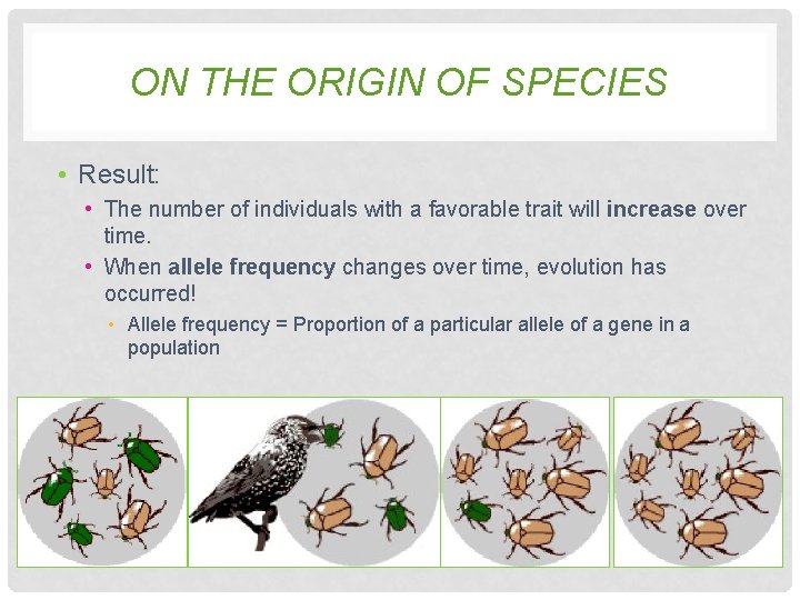 ON THE ORIGIN OF SPECIES • Result: • The number of individuals with a ON THE ORIGIN OF SPECIES • Result: • The number of individuals with a