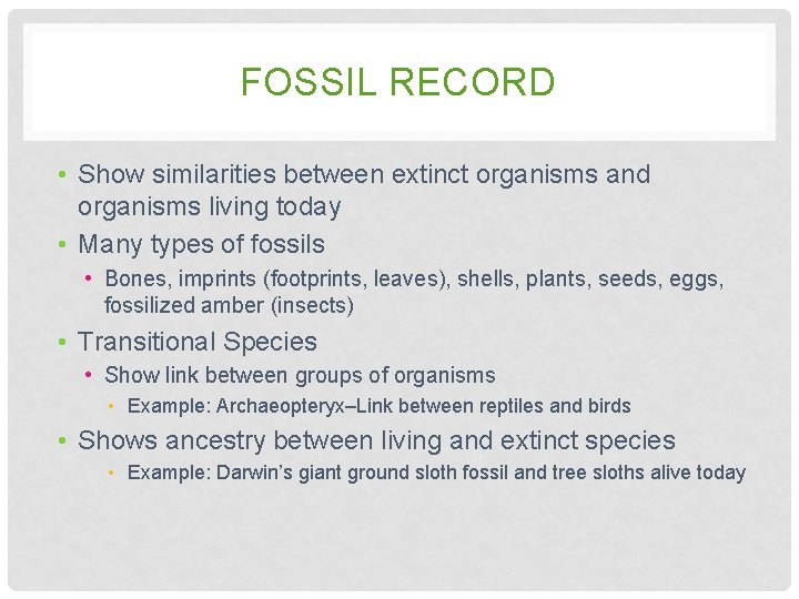 FOSSIL RECORD • Show similarities between extinct organisms and organisms living today • Many FOSSIL RECORD • Show similarities between extinct organisms and organisms living today • Many