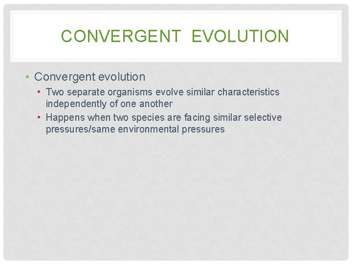 CONVERGENT EVOLUTION • Convergent evolution • Two separate organisms evolve similar characteristics independently of CONVERGENT EVOLUTION • Convergent evolution • Two separate organisms evolve similar characteristics independently of