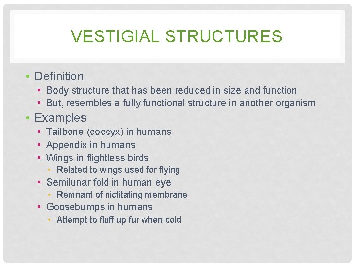 VESTIGIAL STRUCTURES • Definition • Body structure that has been reduced in size and VESTIGIAL STRUCTURES • Definition • Body structure that has been reduced in size and