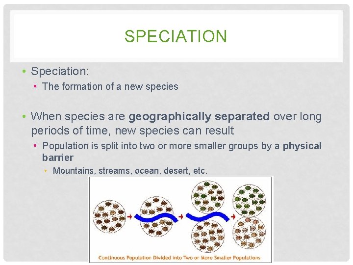 SPECIATION • Speciation: • The formation of a new species • When species are SPECIATION • Speciation: • The formation of a new species • When species are