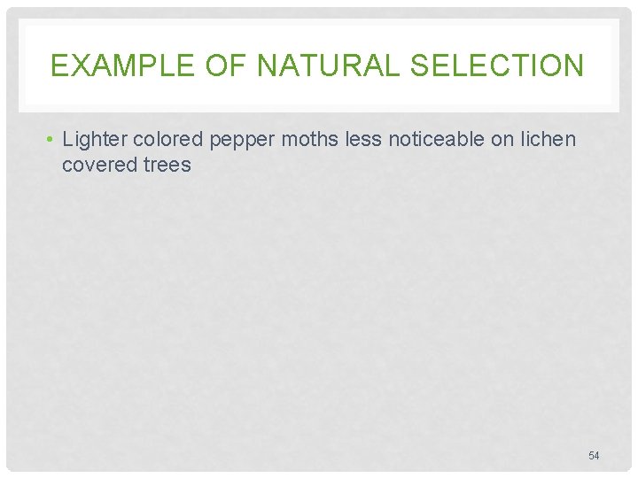 EXAMPLE OF NATURAL SELECTION • Lighter colored pepper moths less noticeable on lichen covered EXAMPLE OF NATURAL SELECTION • Lighter colored pepper moths less noticeable on lichen covered