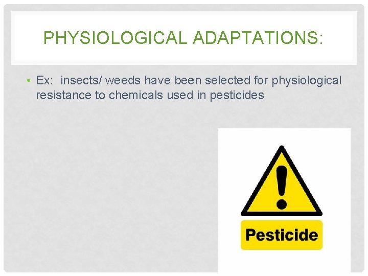 PHYSIOLOGICAL ADAPTATIONS: • Ex: insects/ weeds have been selected for physiological resistance to chemicals PHYSIOLOGICAL ADAPTATIONS: • Ex: insects/ weeds have been selected for physiological resistance to chemicals