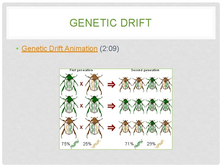 GENETIC DRIFT • Genetic Drift Animation (2: 09) GENETIC DRIFT • Genetic Drift Animation (2: 09)