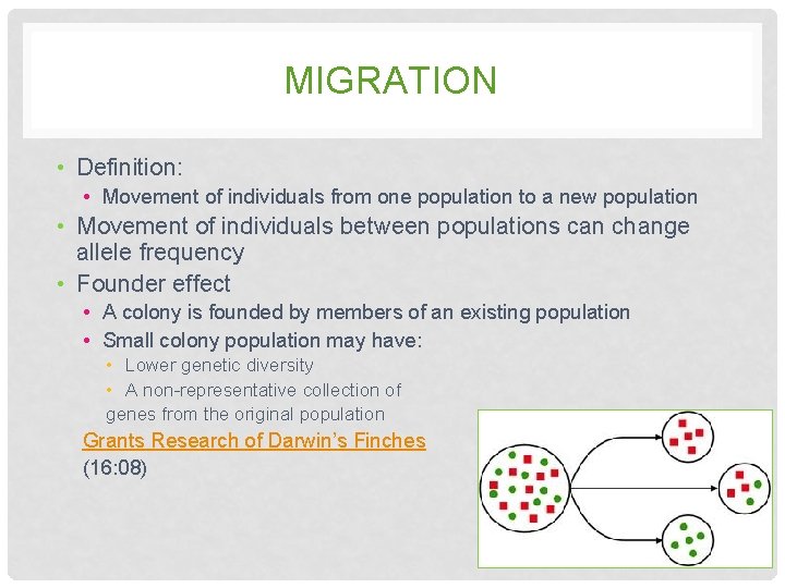 MIGRATION • Definition: • Movement of individuals from one population to a new population MIGRATION • Definition: • Movement of individuals from one population to a new population