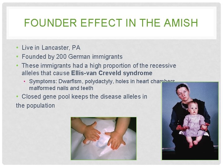 FOUNDER EFFECT IN THE AMISH • Live in Lancaster, PA • Founded by 200 FOUNDER EFFECT IN THE AMISH • Live in Lancaster, PA • Founded by 200