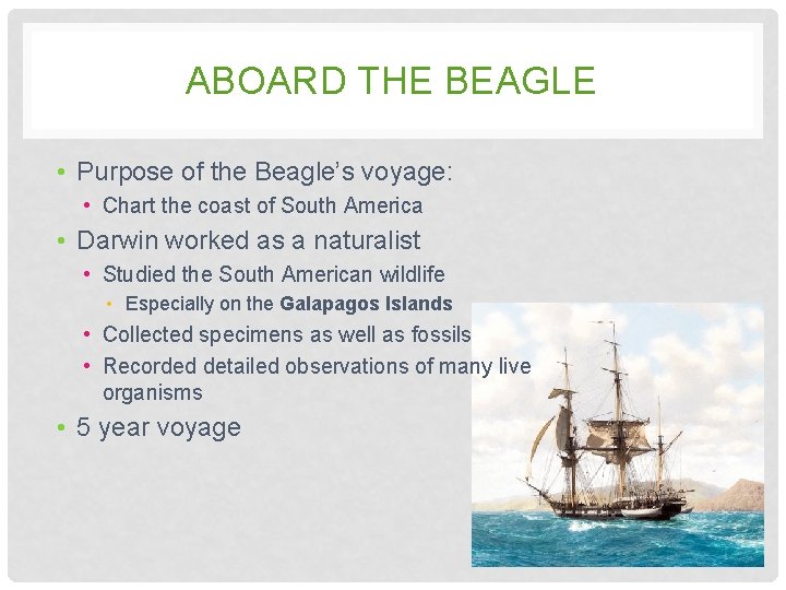 ABOARD THE BEAGLE • Purpose of the Beagle’s voyage: • Chart the coast of ABOARD THE BEAGLE • Purpose of the Beagle’s voyage: • Chart the coast of