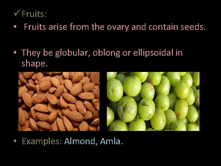 ü Fruits: • Fruits arise from the ovary and contain seeds. • They be
