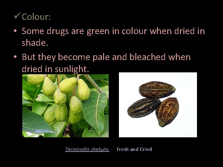 ü Colour: • Some drugs are green in colour when dried in shade. •