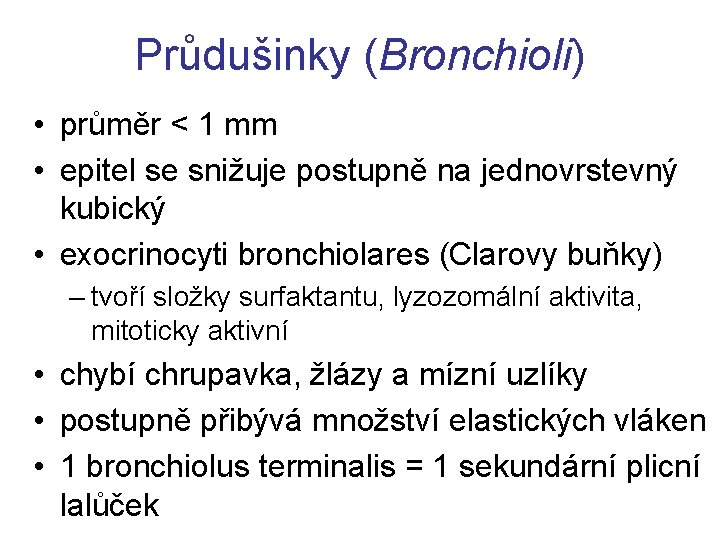 Průdušinky (Bronchioli) • průměr < 1 mm • epitel se snižuje postupně na jednovrstevný Průdušinky (Bronchioli) • průměr < 1 mm • epitel se snižuje postupně na jednovrstevný