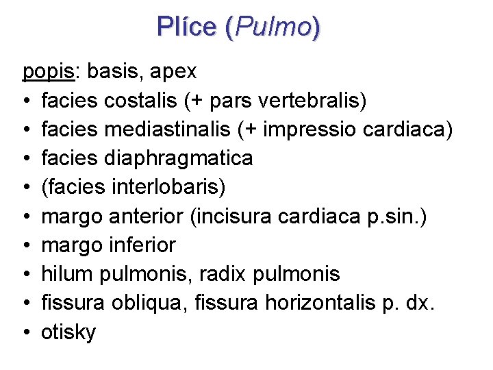 Plíce (Pulmo) popis: basis, apex • facies costalis (+ pars vertebralis) • facies mediastinalis Plíce (Pulmo) popis: basis, apex • facies costalis (+ pars vertebralis) • facies mediastinalis