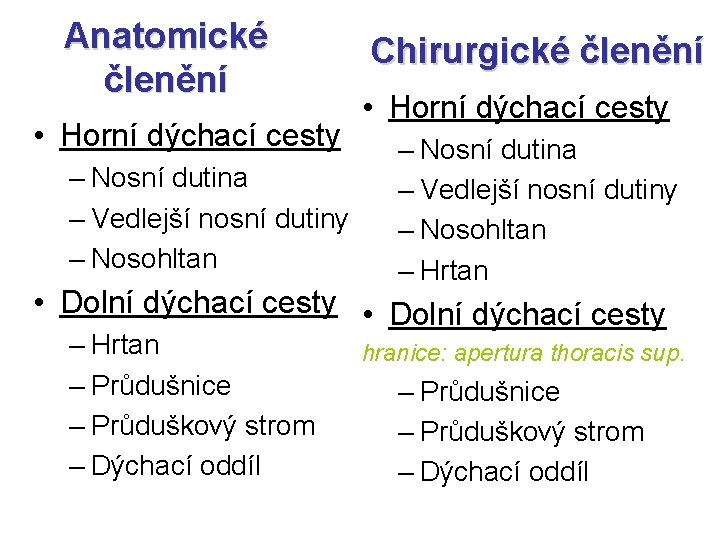 Anatomické členění • Horní dýchací cesty – Nosní dutina – Vedlejší nosní dutiny – Anatomické členění • Horní dýchací cesty – Nosní dutina – Vedlejší nosní dutiny –