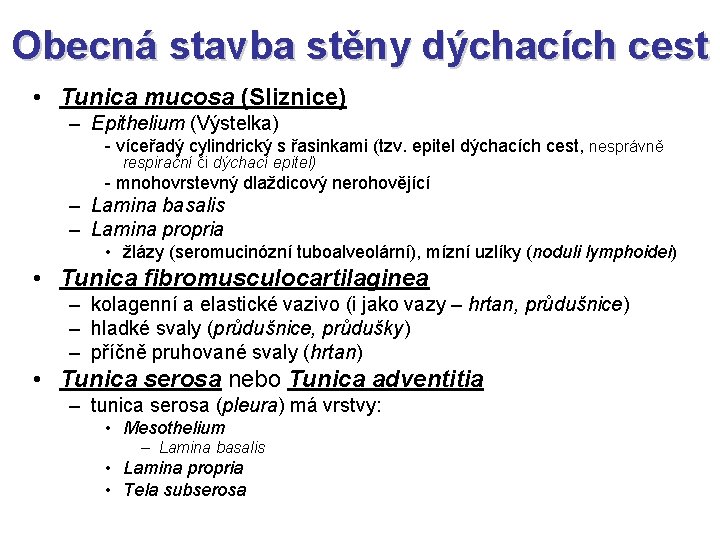 Obecná stavba stěny dýchacích cest • Tunica mucosa (Sliznice) – Epithelium (Výstelka) - víceřadý Obecná stavba stěny dýchacích cest • Tunica mucosa (Sliznice) – Epithelium (Výstelka) - víceřadý