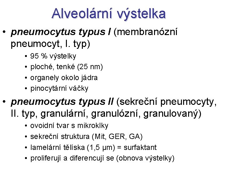 Alveolární výstelka • pneumocytus typus I (membranózní pneumocyt, I. typ) • • 95 % Alveolární výstelka • pneumocytus typus I (membranózní pneumocyt, I. typ) • • 95 %