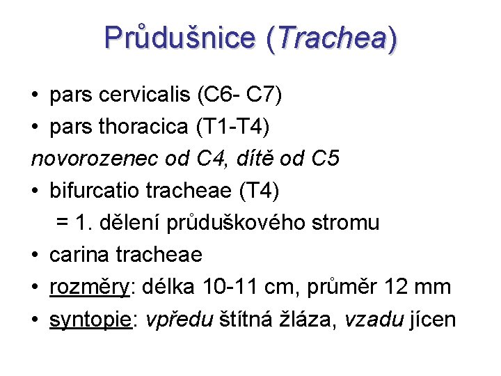 Průdušnice (Trachea) • pars cervicalis (C 6 - C 7) • pars thoracica (T Průdušnice (Trachea) • pars cervicalis (C 6 - C 7) • pars thoracica (T