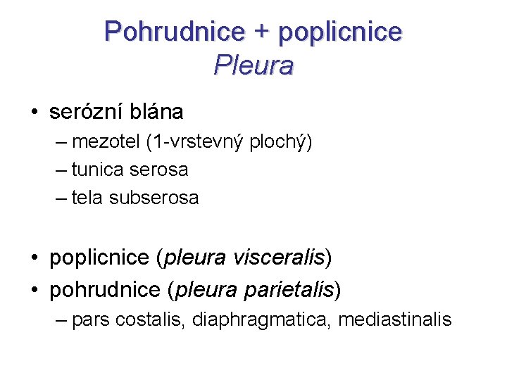 Pohrudnice + poplicnice Pleura • serózní blána – mezotel (1 -vrstevný plochý) – tunica Pohrudnice + poplicnice Pleura • serózní blána – mezotel (1 -vrstevný plochý) – tunica