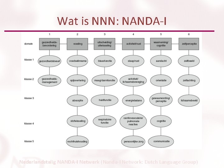 Wat is NNN: NANDA-I Nederlandstalig NANDA-I Netwerk (Nanda-I Network: Dutch Language Group) 