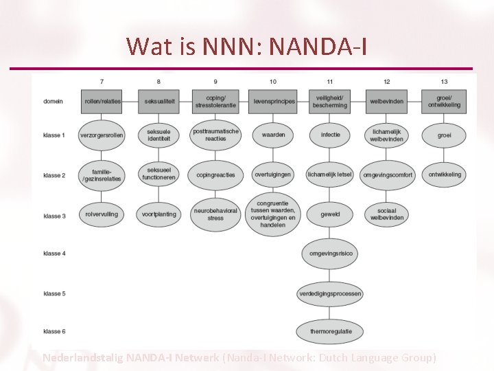 Wat is NNN: NANDA-I Nederlandstalig NANDA-I Netwerk (Nanda-I Network: Dutch Language Group) 