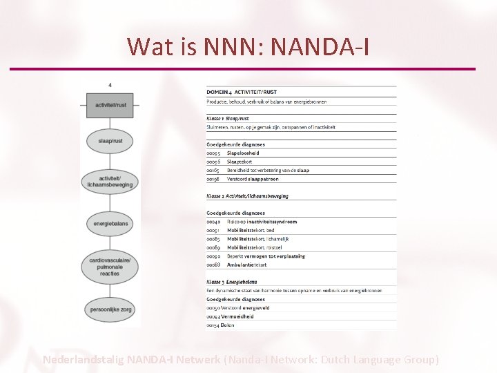 Wat is NNN: NANDA-I Nederlandstalig NANDA-I Netwerk (Nanda-I Network: Dutch Language Group) 