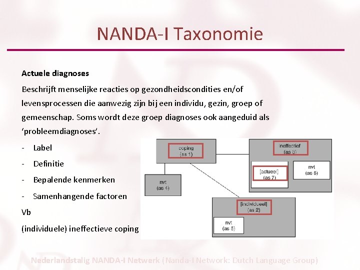 NANDA-I Taxonomie Actuele diagnoses Beschrijft menselijke reacties op gezondheidscondities en/of levensprocessen die aanwezig zijn