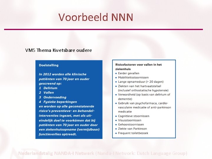 Voorbeeld NNN VMS Thema Kwetsbare oudere Nederlandstalig NANDA-I Netwerk (Nanda-I Network: Dutch Language Group)