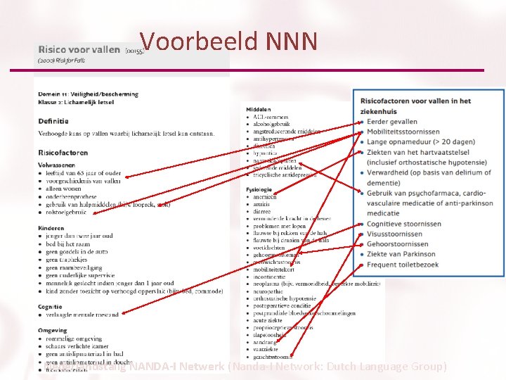 Voorbeeld NNN Nederlandstalig NANDA-I Netwerk (Nanda-I Network: Dutch Language Group) 