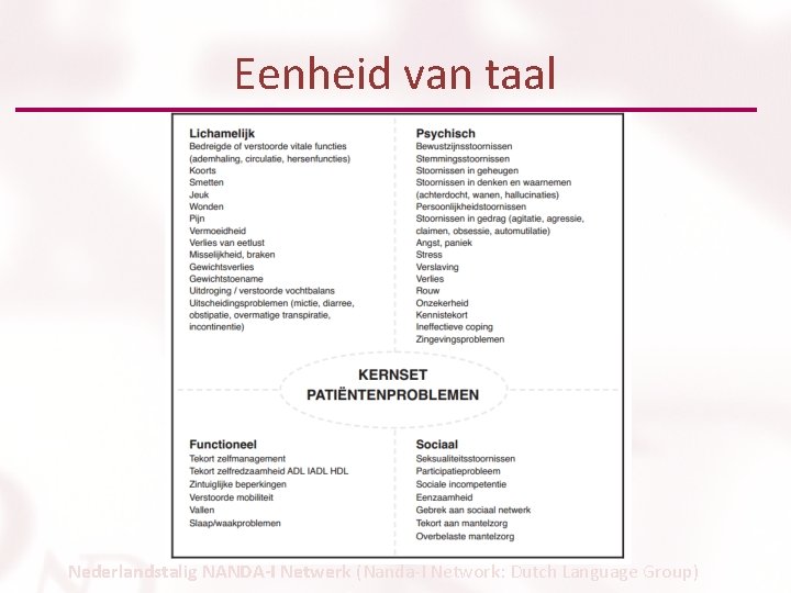 Eenheid van taal Nederlandstalig NANDA-I Netwerk (Nanda-I Network: Dutch Language Group) 