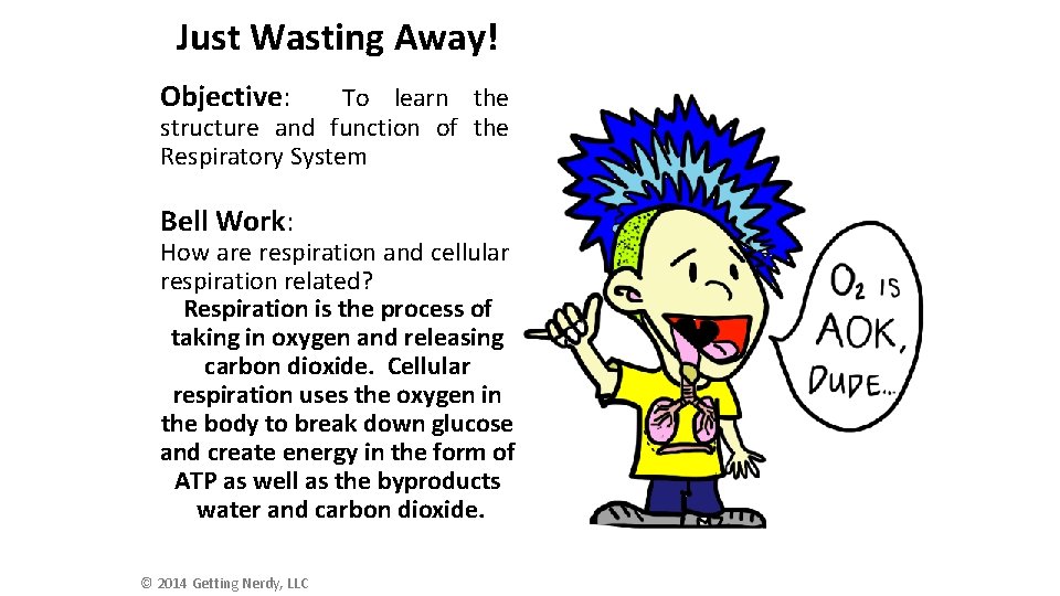 Just Wasting Away! Objective: To learn the structure and function of the Respiratory System