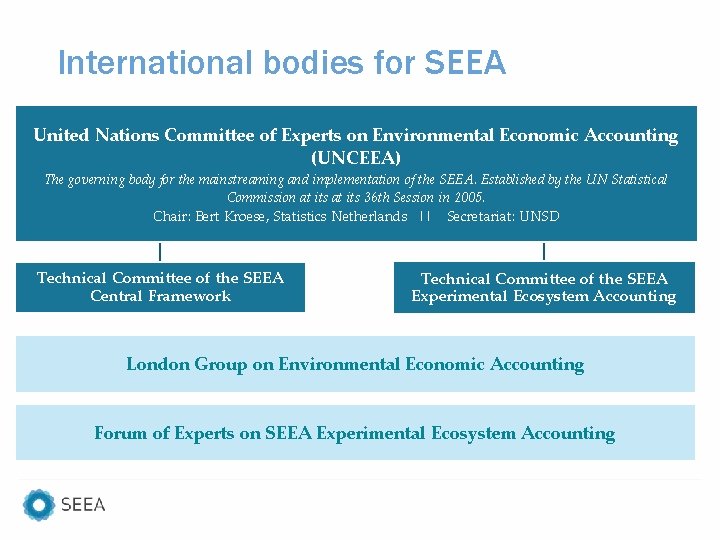 International bodies for SEEA United Nations Committee of Experts on Environmental Economic Accounting (UNCEEA)