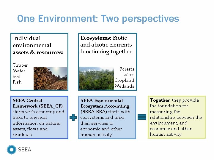 One Environment: Two perspectives Individual environmental assets & resources: Timber Water Soil Fish SEEA