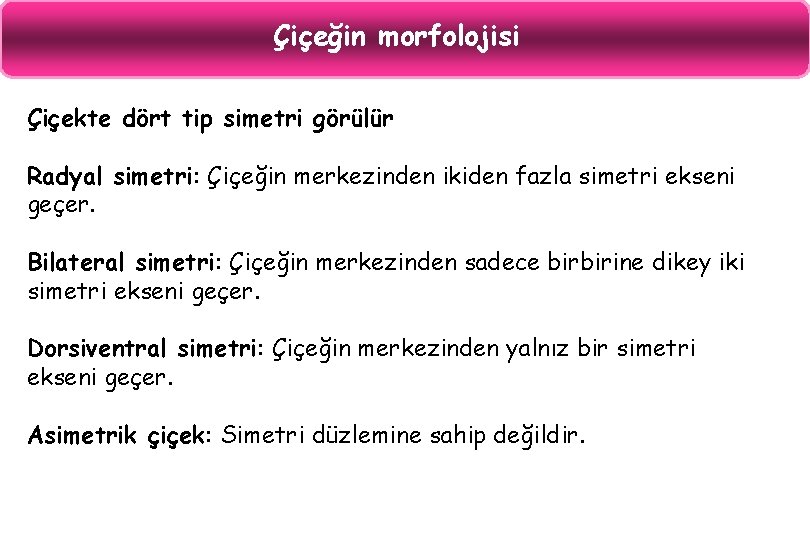 Çiçeğin morfolojisi Çiçekte dört tip simetri görülür Radyal simetri: Çiçeğin merkezinden ikiden fazla simetri