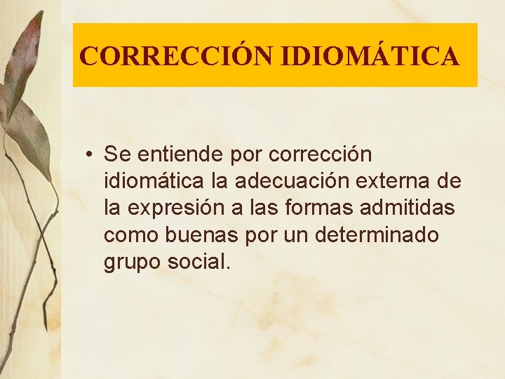 CORRECCIÓN IDIOMÁTICA • Se entiende por corrección idiomática la adecuación externa de la expresión